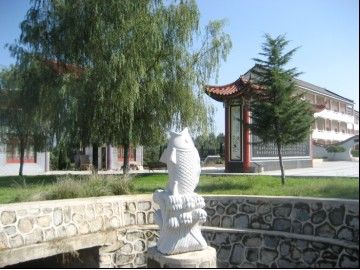 鯉魚(yú)躍龍門(mén)