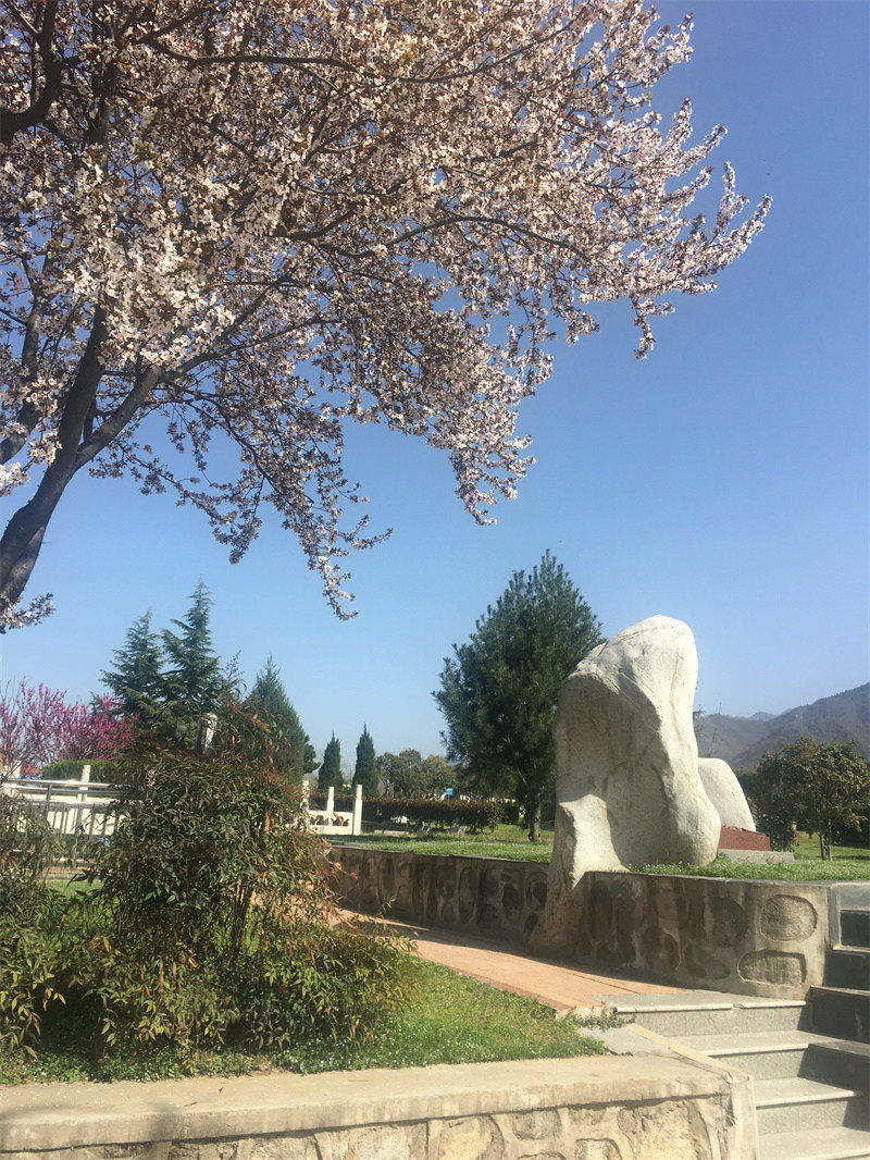 墓園環(huán)境