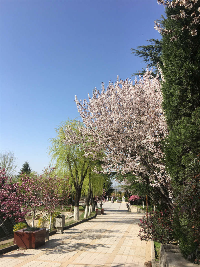 園區(qū)一角